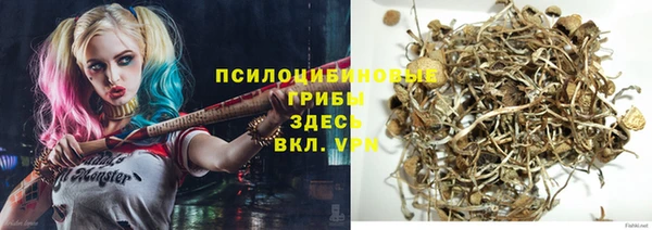 гашик Богородск