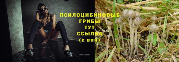 герыч Богданович