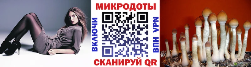 hydra зеркало Бузулук Псилоцибиновые грибы прущие грибы